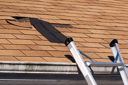 The Perils of DIY Roof Washing