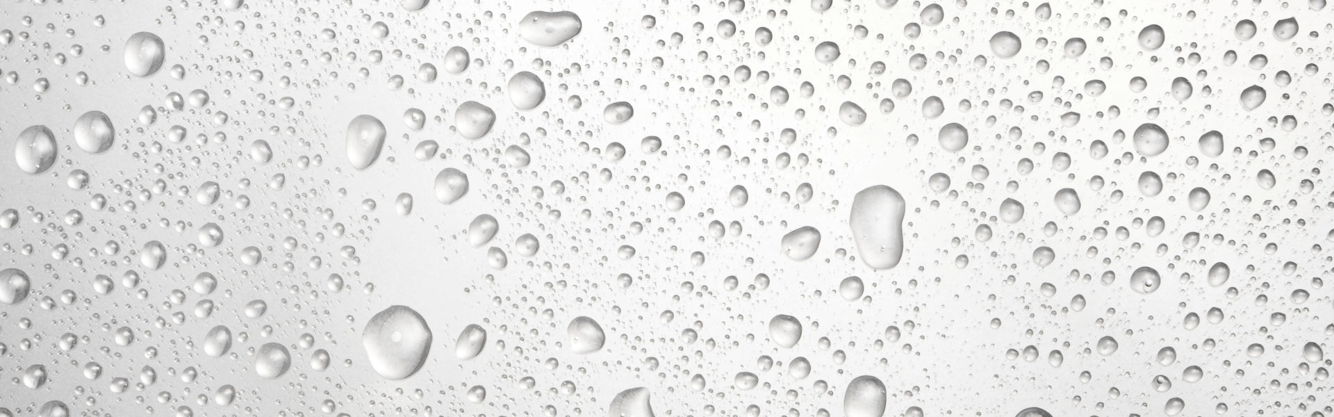 Second Banner Image